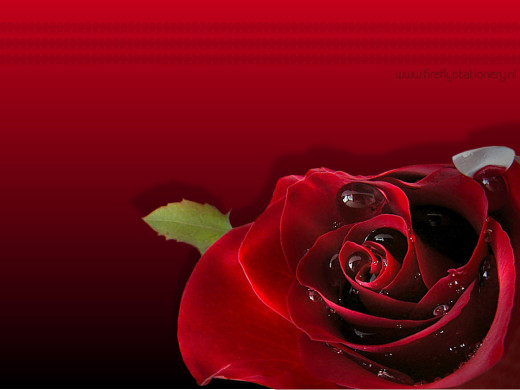 419771 (a): :1024x768